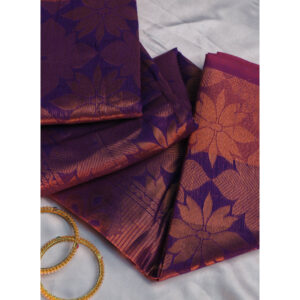 Fancy Border Saree