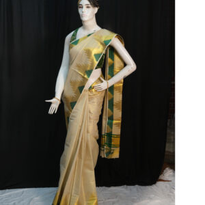 Green Gold Temple Border Tissue Saree