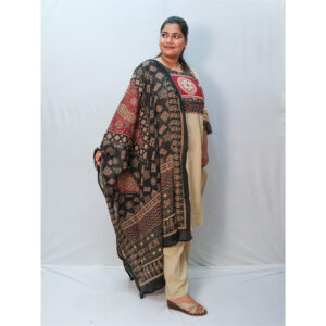 Beige Dhabu Cotton Kalamkari Print Three-Piece Kurti Set
